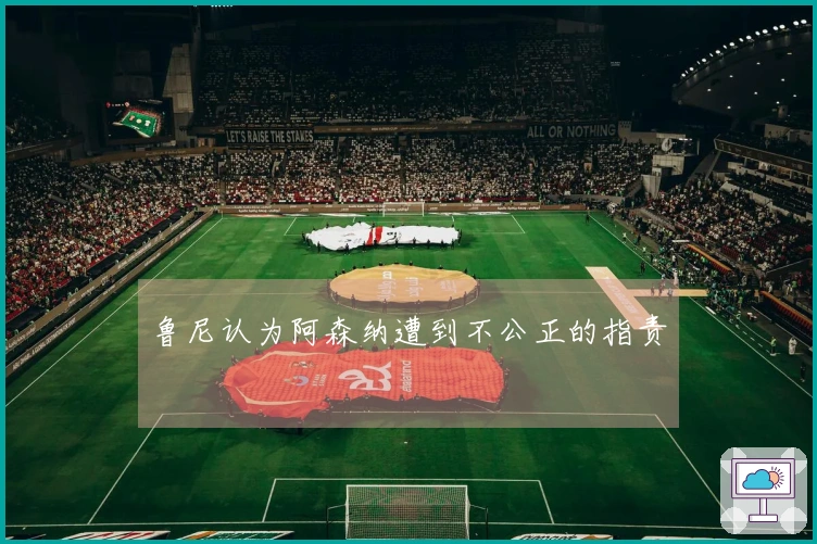 鲁尼认为阿森纳遭到不公正的指责