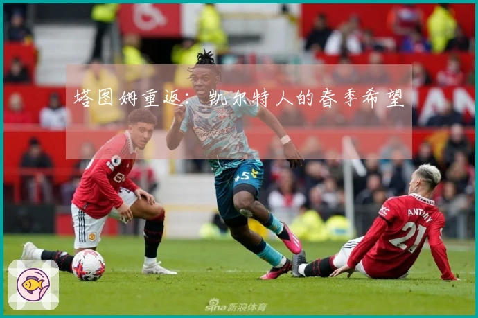 塔图姆重返：凯尔特人的春季希望